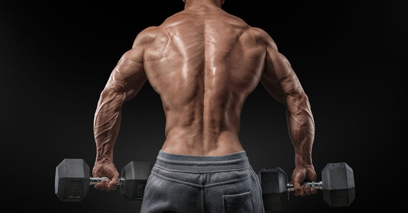 Как накачать мышцы спины в домашних условиях | Body zen | Яндекс Дзен